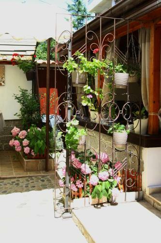 Hostal Guest House Maggy