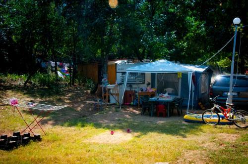 Camping Goldfish