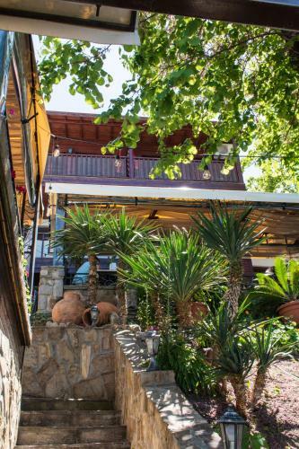 Hostal House Diona