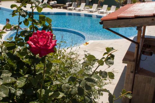 Aparthotel Gardenia Vacation Settlement