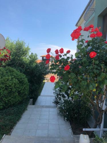Aparthotel Gardenia Vacation Settlement