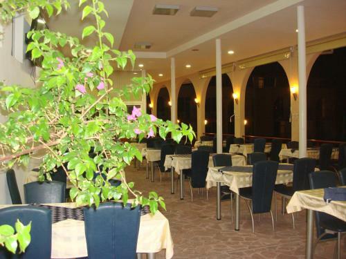 Hotel Hera