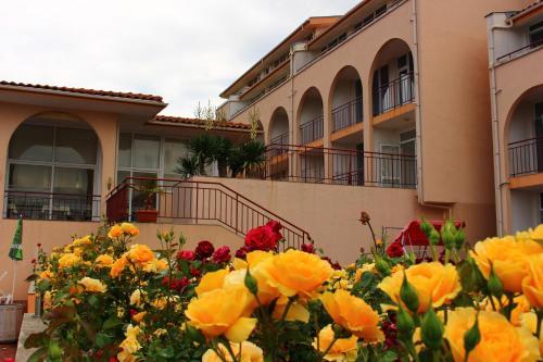 Hotel Hera