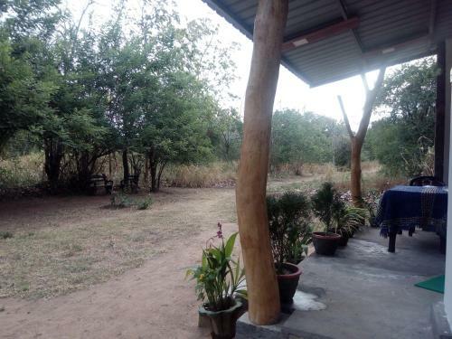 Motel Wilpattu Buma