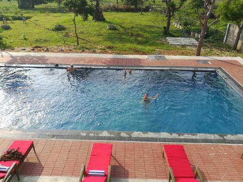 Hotel Flamingo Nature Resort