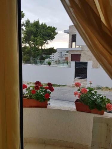 Apartamentos Guest House Lejla