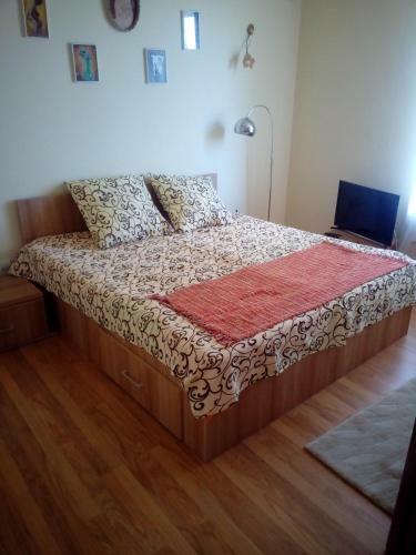Dalina Mamaia Nord