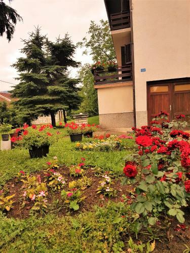Hostal Guest House Rajvel
