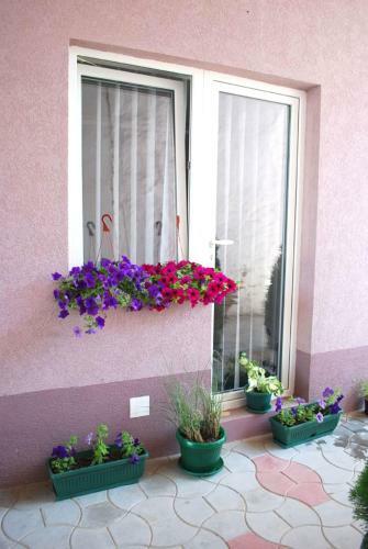 Apartmani Ema