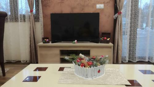 Apartman "lav"