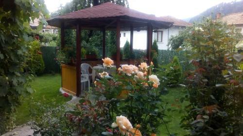 Hostal Albena Guest Rooms