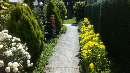 Hostal Albena Guest Rooms