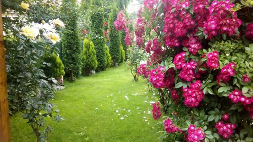 Hostal Albena Guest Rooms
