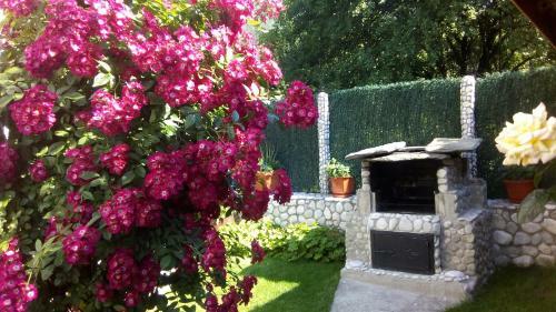 Hostal Albena Guest Rooms