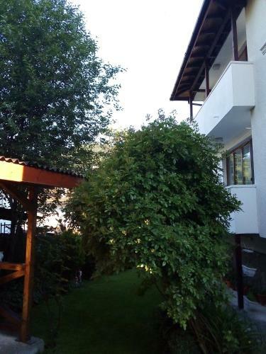 Hostal Albena Guest Rooms