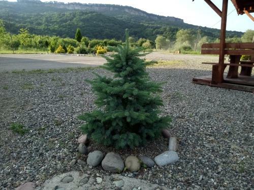 Posada Mountain Rider Inn Dakhovskaya