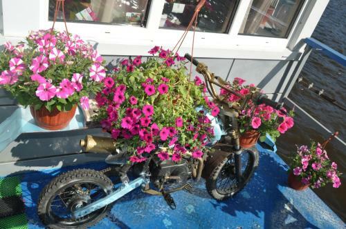 Hotel On The Lake Lakada