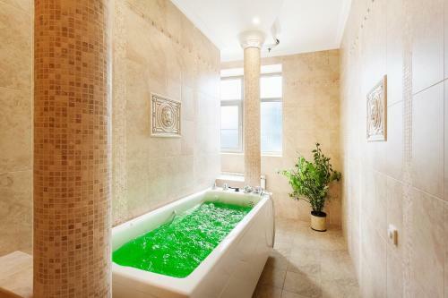 ????????? ??????? ????