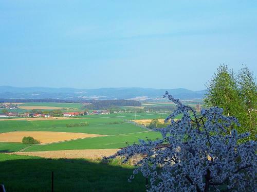 Apartamento Ferienwohnung Schwarzwihr