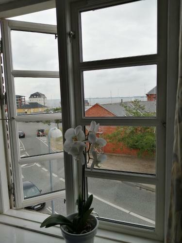 Hostal Guesthouse Rudk�bing