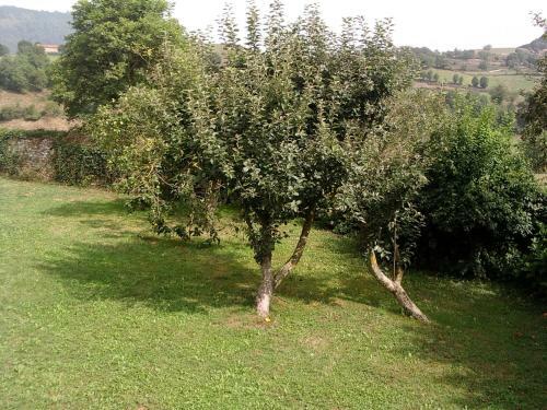 Agroturismo Villa Argentina