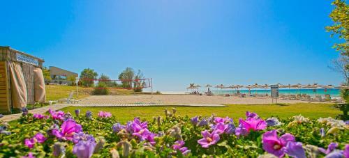 Aparthotel Royal Bay Apartments