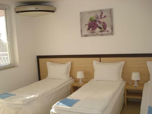 Hostal The Sunny Home Guesthouse