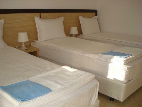 Hostal The Sunny Home Guesthouse