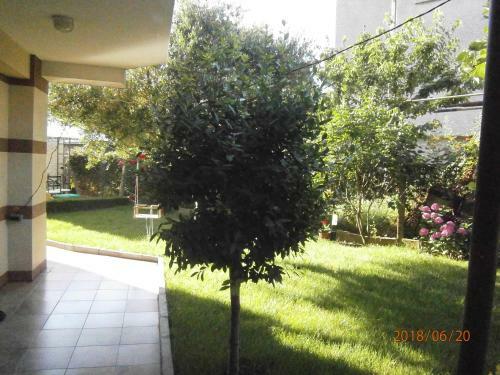 Hostal Family Hotel Bellehouse