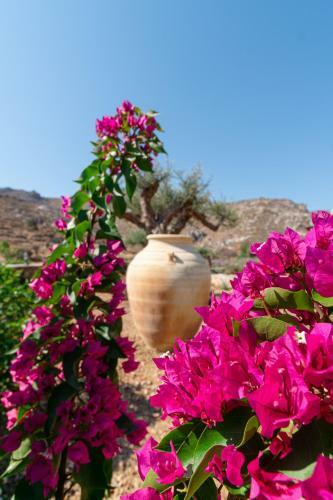 Hostal Yiannis Retreat