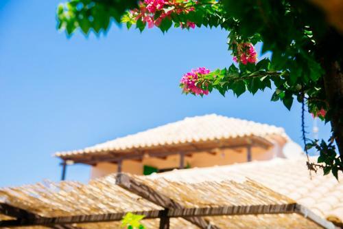 Apartamento Traditional House In A Natural Oasis