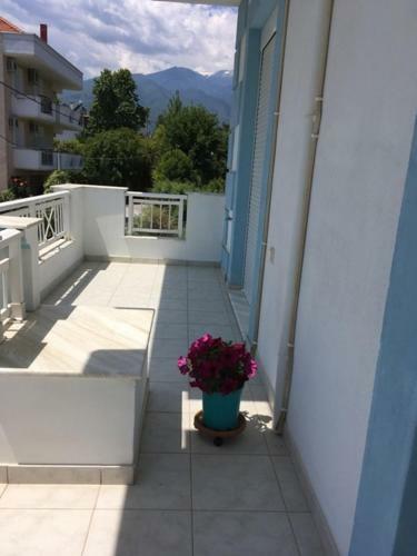 Apartamento Villa Janis