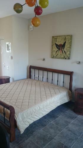 Antonia's Apartments
