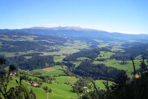 Apartamento Ferienwohnung Hobelleitner
