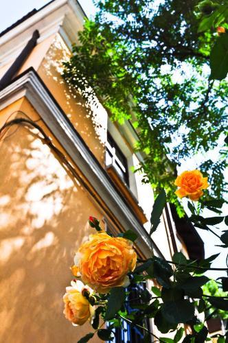 Hostal L'opera Guest House