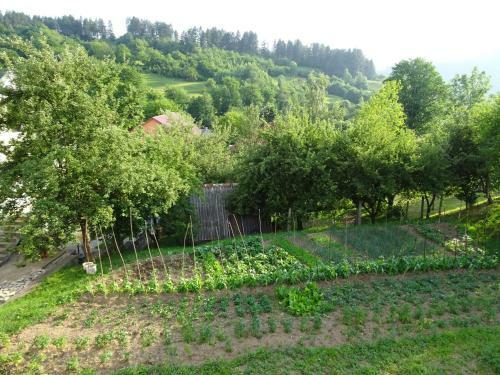 Holiday Home Crkvina