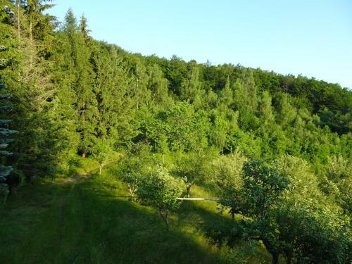 Holiday Home Crkvina