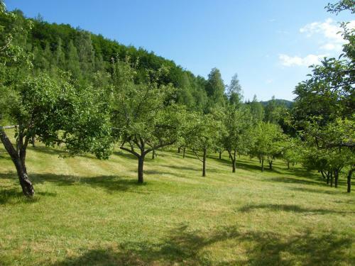 Holiday Home Crkvina