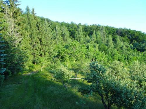 Holiday Home Crkvina