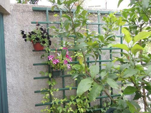 Apartment Milena