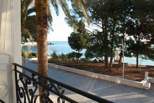 Vasiliki Seaside Apartments