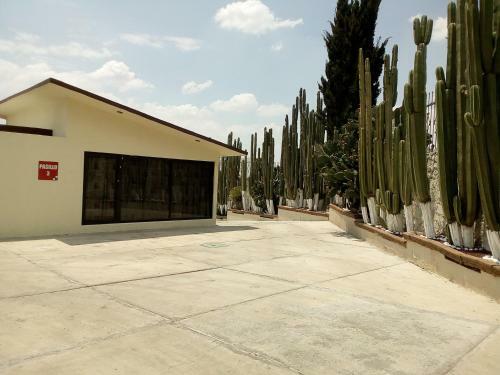 Villa Lov Boutique Hotel
