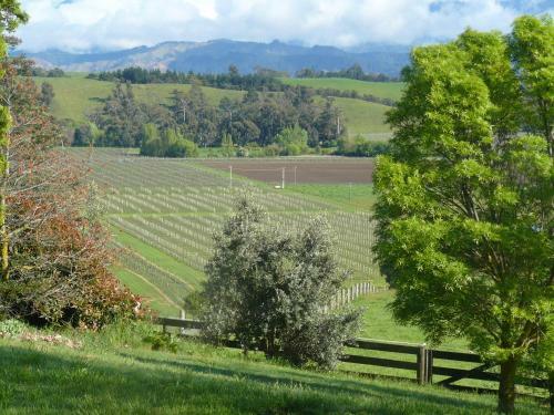 Bed & Breakfast Omaka Heights Countrystay