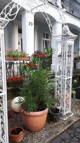 Hostal Willa Elysium