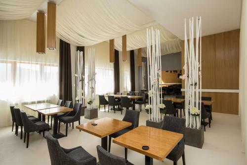 Hotel Pensiunea Art 1000