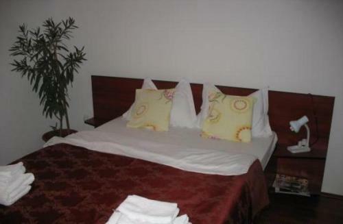 Hotel Pensiunea Dariana