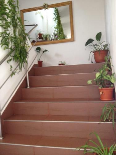 Hotel Pensiunea Dariana