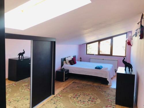 Hostal Vila Selena