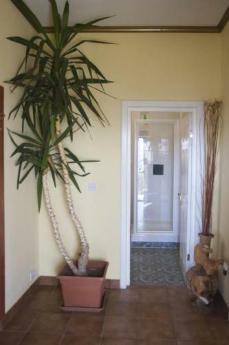 Posada Country Club La Mesteceni