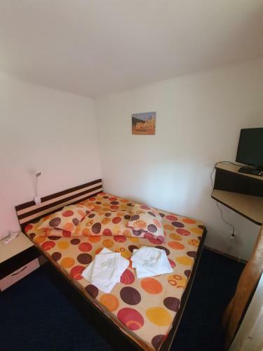 Hostal Cabana Brandusa